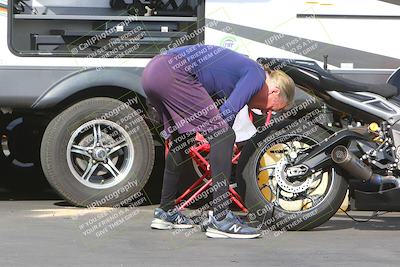 media/Mar-13-2022-SoCal Trackdays (Sun) [[112cf61d7e]]/Around the Pits/